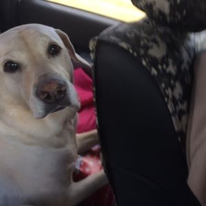 Meet your Posher, Michelle